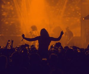 concert, crowd, silhouette-3084876.jpg