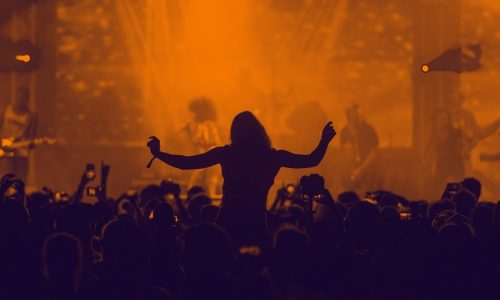 concert, crowd, silhouette-3084876.jpg